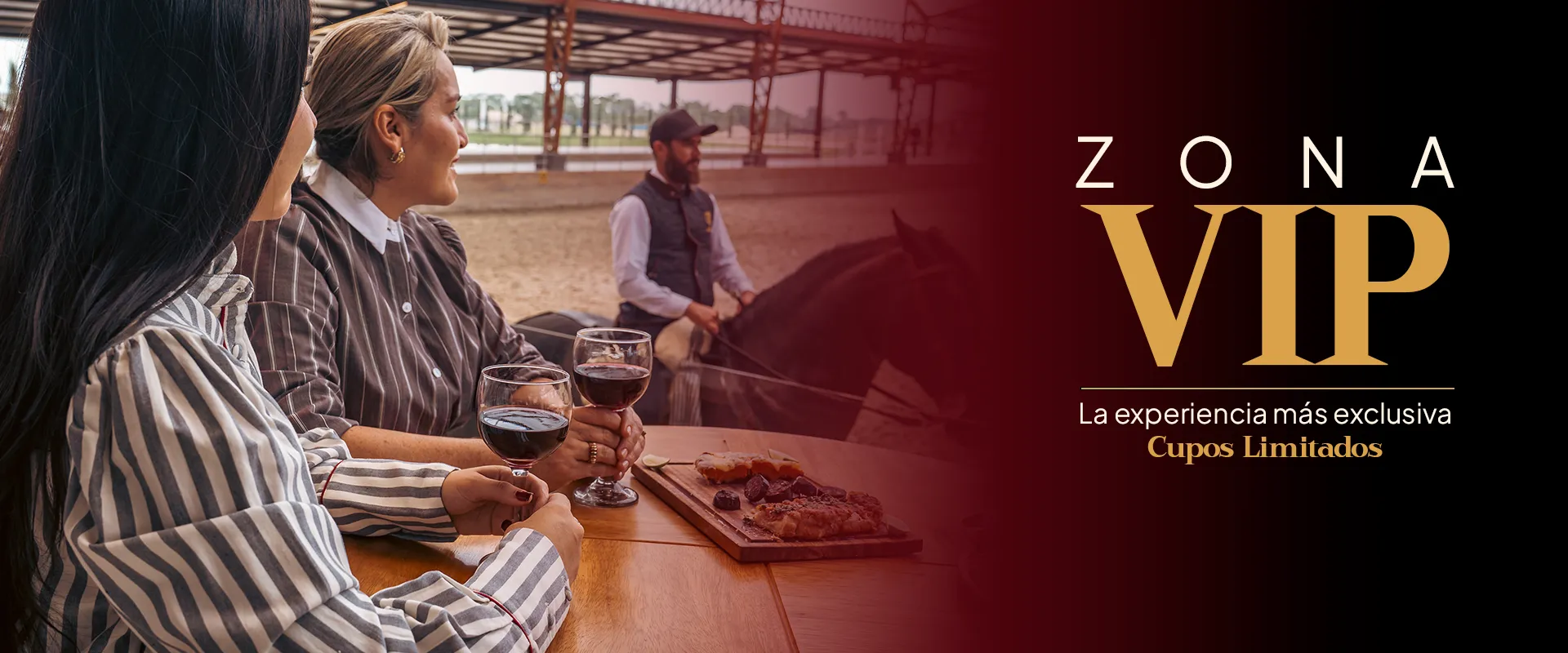 Zona VIP - Feria Sevillana 2026